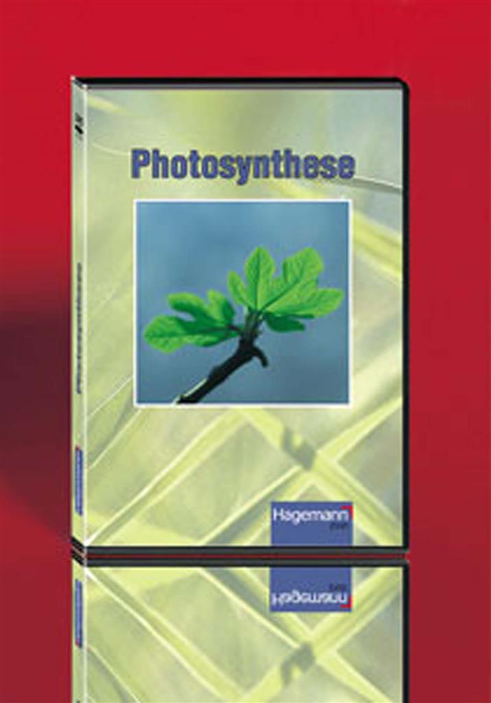 Fotosynthese, DVD 