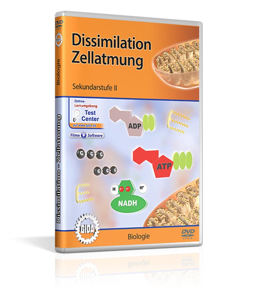 Dissimilation - Zellatmung DVD